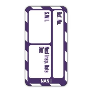 Nanotag™ Inserts - Safe working load (SWL) Next Inspection Date Due
