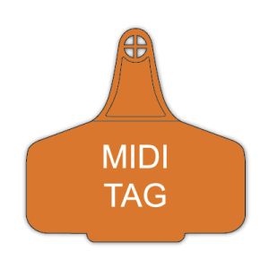 Midi Tag