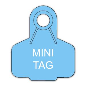 Mini Tag