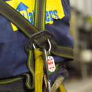 Harnesses